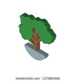 Bonsai isometric left top view 3D icon