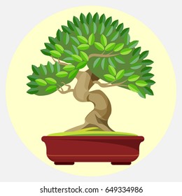 Bonsai Japanese art form using trees grown in container vector