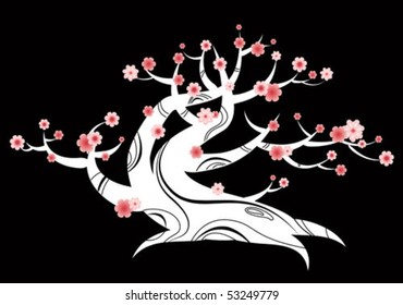 bonsai japanese decor
