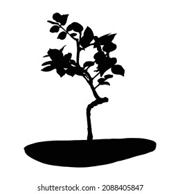 Bonsai Japanese tree silhouette growing in pot and container. Drawing from real tree. Decorative little tree in Bonsai style, hobby. Vector.