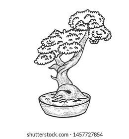 Bonsai Japanese tree sketch vector illustration. Scratch board style imitation. Hand drawn image.