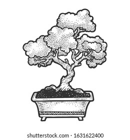 Bonsai japanese tree sketch vector illustration. Scratch board style imitation. Hand drawn image.