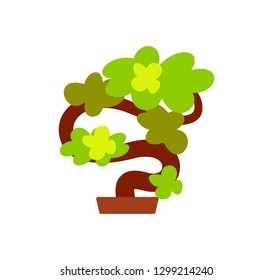 Bonsai Japanese tree vector, plant grown in pot isolated icon. Natural flora closeup, oriental style of decoration, greenery foliage with trunk bush