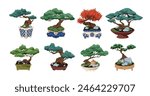 Bonsai, Japanese trees in pots. Traditional Asian miniature garden, zen nature in container. Japan leaf plants, traditional oriental art. Flat vector illustration isolated on white background