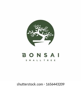 Bonsai logo design. Japanese Mini Small Plant Tree on Pot Silhouette logo design