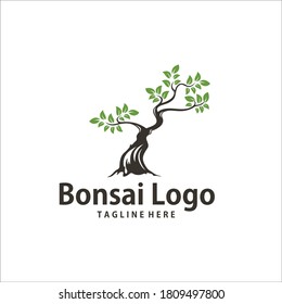 bonsai logo design silhouette icon vector