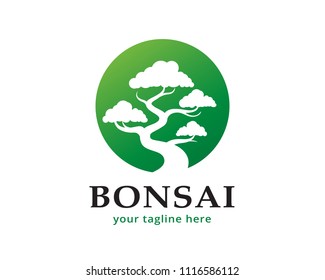 Bonsai Logo Design Template Stock Vector Royalty Free 1116586112