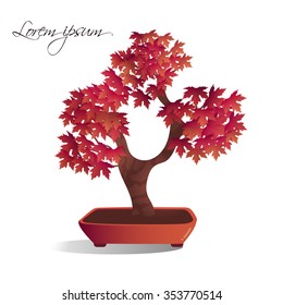 Bonsai. Maple. Vector isolated illustration.