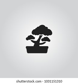 Bonsai on pot icon