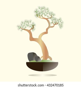 Bonsai. Pine tree in a black pot on a light pink background. Green needles, brown branches, gray stones, green grass, flat design. Vector object isolated