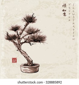 Bonsai pine tree hand drawn in traditional Japanese painting style sumi-e on vintage background. Contains signs "luck", "double luck", "dreams come true", "well-being"