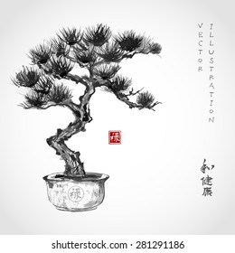 Bonsai pine tree hand hand-drawn with ink in traditional Japanese style sumi-e. Image contains hieroglyphs "well being", "harmony", "health". Vector illustration.