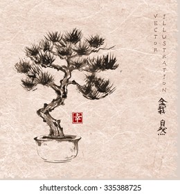 Bonsai pine tree hand hand-drawn with ink in traditional Japanese style sumi-e on vintage paper background. Image contains hieroglyphs - bonsai, nature, happiness