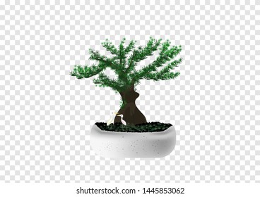 Bonsai Pinus Pine tree vectors in the marble cement pot with white tiny couple birds on transparency background