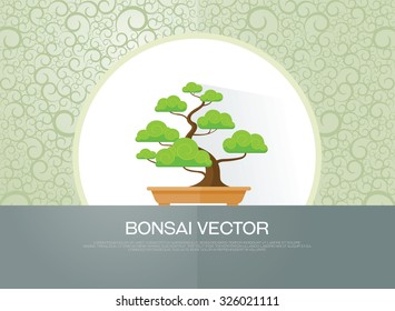 bonsai plant