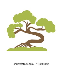 Bonsai plant  icon. Japan culture. Vector graphic