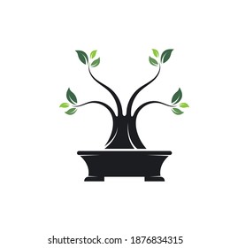 bonsai plant icon vector illustration design template 