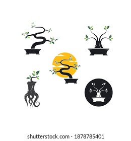 bonsai plant icon vector illustration design template 