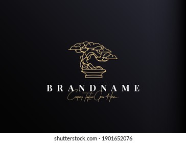 Bonsai Plant Logo Design Inspiration. Vector illustration of aesthetic bonsai and potted plants. Modern Icon Design Vector Template with Outline Style