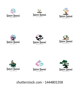 Bonsai Plant Logo Design Vector