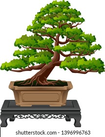 Bonsai plant in the pot graphic vector
