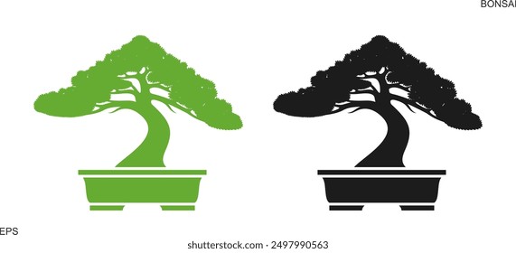 Bonsai plant tree. Isolated bonsai tree on white background