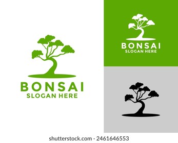 Bonsai plant tree logo icon design template, bonsai logo design silhouette,