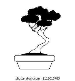 Bonsai in pot in black and white