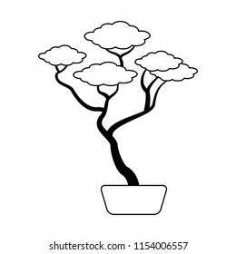 Bonsai in pot in black and white