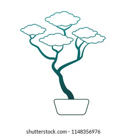 Bonsai in pot in blue lines