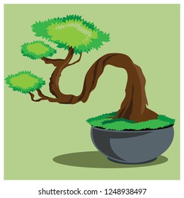 Bonsai in the pot on green background.vector