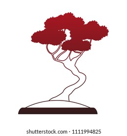 Bonsai in pot red lines