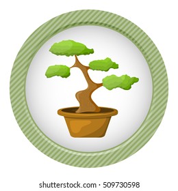 Bonsai in the pot. Vector illustration in cartoon style