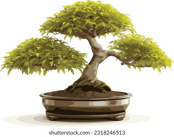 bonsai in pots for home decoration