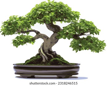 bonsai in pots for home decoration