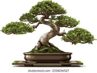 bonsai in pots for home decoration