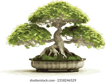 bonsai in pots for home decoration