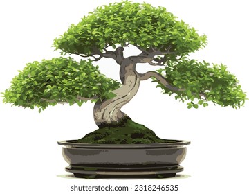 bonsai in pots for home decoration