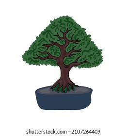 bonsai sancang tree branches leaves