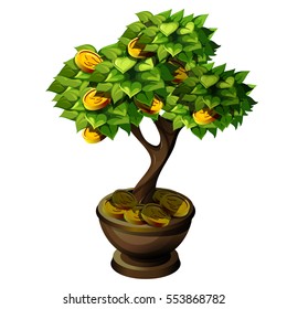 Bonsai small tree with fruit of Golden coins isolated on white background. Fantastic idea for landscape design. Money tree as a symbol of prosperity and material well-being. Vector illustration closeup