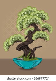 bonsai tree