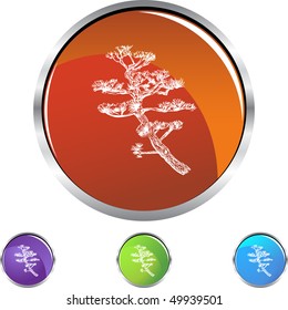 Árbol Bonsai