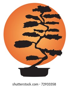 Bonsai Tree