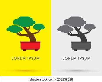 Bonsai tree abstract logo, symbol, icon, graphic, vector .