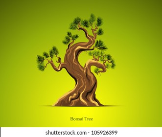 Bonsai Tree Background