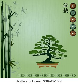 Bonsai tree, bamboo, Japanese text "bonsai" on green background. Vector illustration.