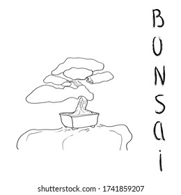 Bonsai tree. Black outline vector illustration on a white background isolated. Plant in a pot. Small pine silhouette. Japanese traditional art. Chinese stone garden