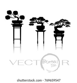 Bonsai tree, Black silhouette of bonsai,Detailed image, Vector illustration.