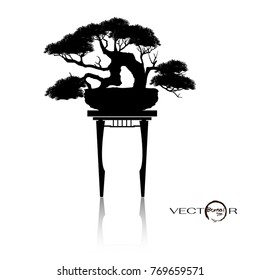 Bonsai tree, Black silhouette of bonsai,Detailed image, Vector illustration.