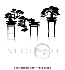 Bonsai tree, Black silhouette of bonsai,Detailed image, Vector illustration.